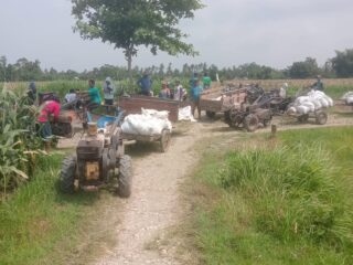 Poktan dan Gapoktan Bagorejo Bersatu Benahi Jalan Demi Kelancaran Akses Pertanian