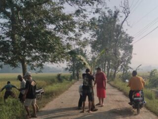 Warga Tanam Pohon Pisang di Jalan Rusak, Ketua Team Senyap: Jangan Tunggu Ada Korban Lagi